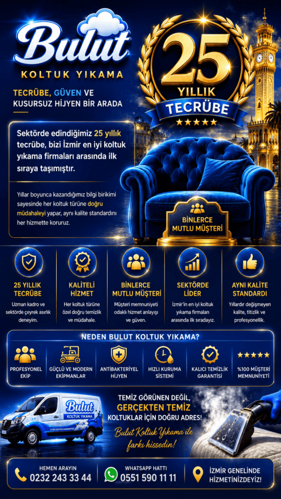 İzmir profesyonel koltuk yıkama